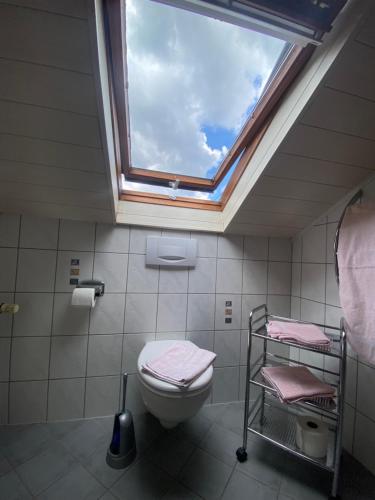 上韦瑟尔莱茵高德施安可酒店的一间带卫生间和天窗的浴室