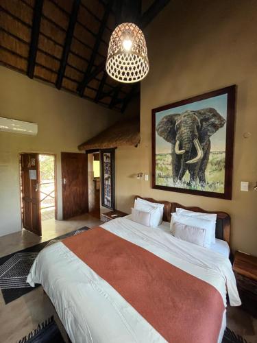 玛洛斯帕克鳄鱼克鲁格野生动物园住宿酒店的一间卧室配有一张大床,一张大象的照片