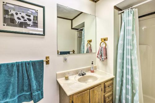 格伦阿伯Rustic Glen Arbor Gem Patio, 4 Mi to Beach!的一间带水槽和镜子的浴室