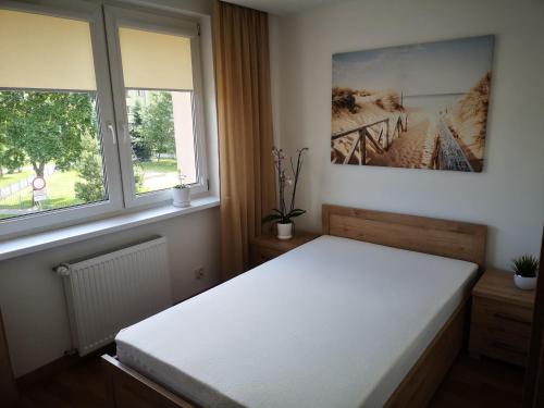 苏瓦乌基Apartament Korczaka Centrum的卧室配有白色的床和2扇窗户。