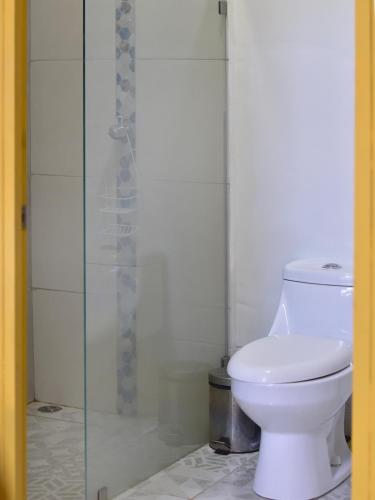 利比里亚Guesthouse Congo Tempisque的一间带卫生间和玻璃淋浴间的浴室