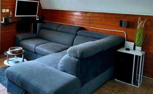弗济内Planinska vikendica LUCIJA的带沙发和电视的客厅