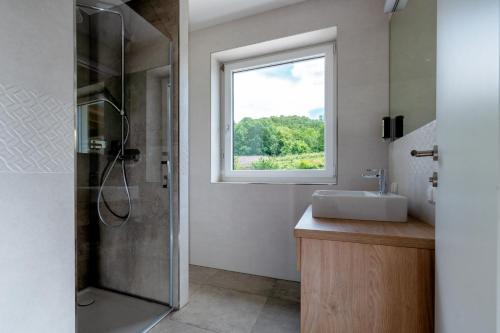 巴特格莱兴贝格Landhaus Bad Gleichenberg的带淋浴和盥洗盆的浴室以及窗户。