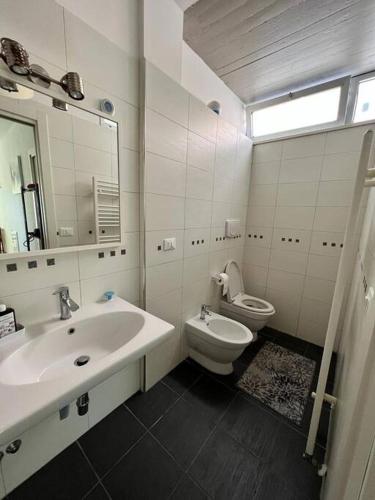 佩斯卡拉"Da Vittorio" Armony House的一间带水槽、卫生间和镜子的浴室