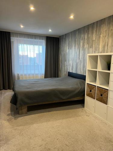 雷泽克内Dzivoklis ar saunu的一间卧室设有一张大床和一个窗户。