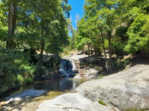 埃尔阿雷纳尔La casa del puerto的河中种有岩石和树木的瀑布