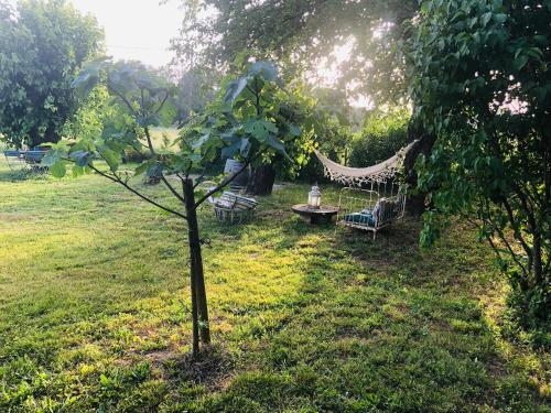BagardGîte à 10 minutes d'Anduze, au pied des Cévennes的花园内的吊床,花园内有桌子和树