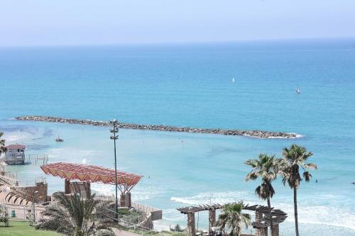 内坦亚Park hotel的享有棕榈树海滩和大海的景色