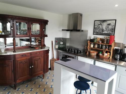 Le HougaLe Logis de la Ferme aux Cerfs的厨房配有木制橱柜和台面