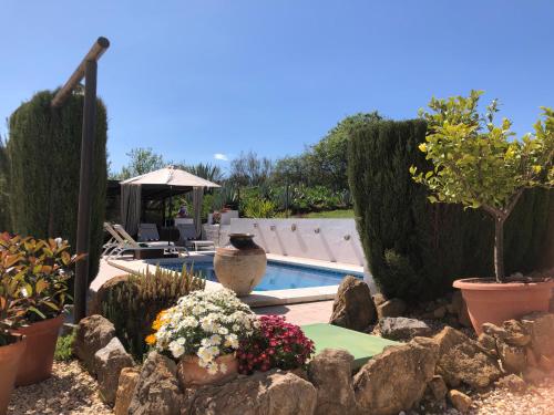 马拉加Casa La Alegria 37的一个带游泳池和一些植物的花园
