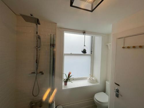 布莱尔高里Alpine Apartments - 2的带淋浴和卫生间的浴室以及窗户。