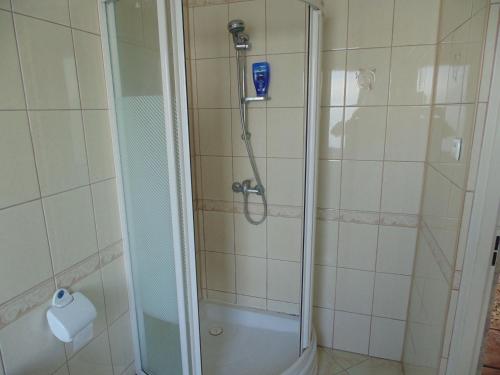 比亚韦斯托克Villa Turysta的浴室里设有玻璃门淋浴