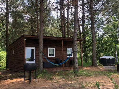 OzolaineForest cabin的小木屋,设有吊床