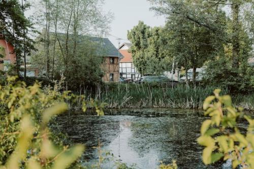 莱茵巴赫Modernisiertes Fachwerkhaus in Rheinbach bei Bonn的庭院里的池塘,后面有房子