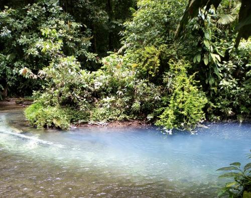 San RafaelCabinas El Pilón Río Celeste的相册照片