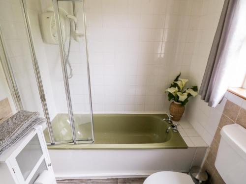 朗德斯通Roundstone Bay View的一间带绿色浴缸和卫生间的浴室