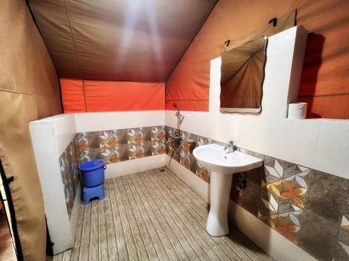 卡索尔North Deodar Camps的一间带水槽和镜子的小浴室