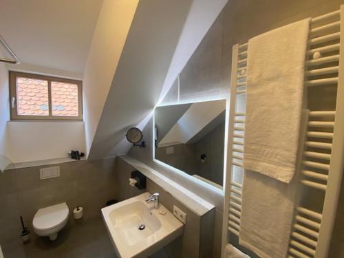 雷根斯堡Altstadthotel Alt & Jung的一间带水槽、卫生间和镜子的浴室