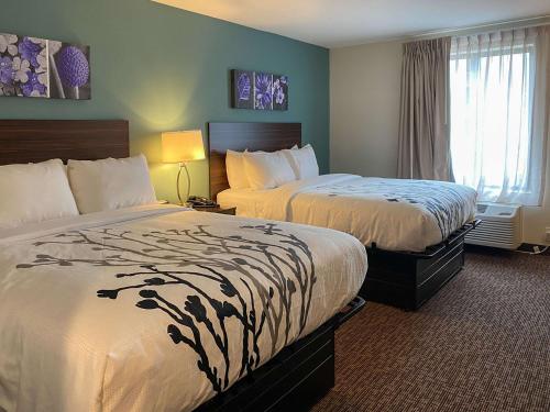 格林斯伯勒Sleep Inn & Suites - Coliseum Area的酒店客房设有两张床和窗户。