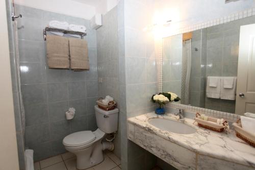 圣约翰斯Northshore Seaside Suites的一间带卫生间、水槽和镜子的浴室