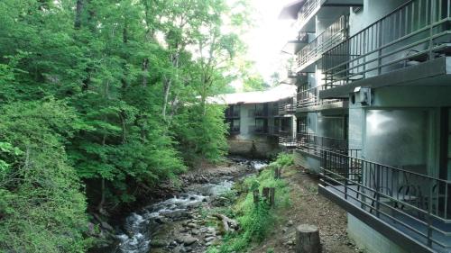 加特林堡Bear Creek Inn Gatlinburg, TN的相册照片