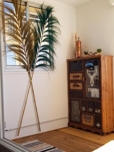 弗龙蒂尼昂La Galiote的一间拥有老式收音机和棕榈树的房间