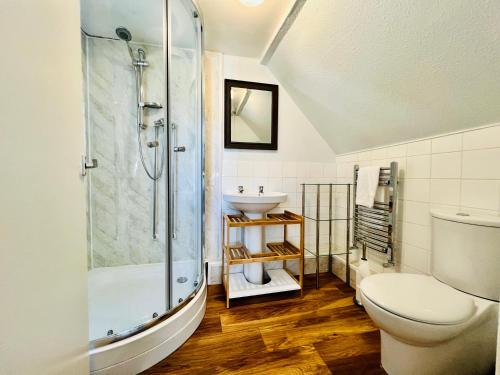 纽波特Brecon View by Switchback Stays的带淋浴、卫生间和盥洗盆的浴室