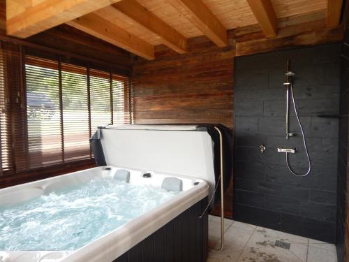 Schwarzenbach am WaldFrankenwald-Lodge的设有带大浴缸和淋浴的浴室