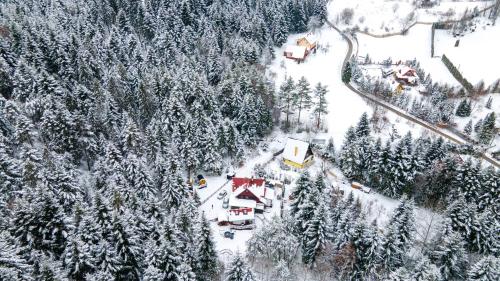 TrzemeśniaBeczki Pod Lasem的享有雪覆盖森林的空中美景,设有房屋