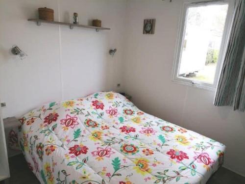 利和米克斯Le balaou的一张床上的房间,上面有花毯