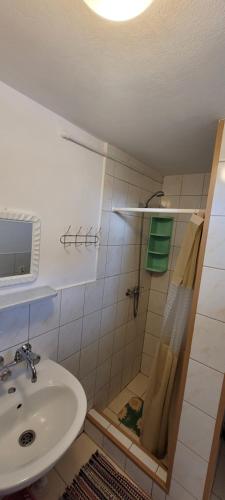 JunoszynoDom Bursztynek - domek (sad)的一间带水槽和淋浴的浴室