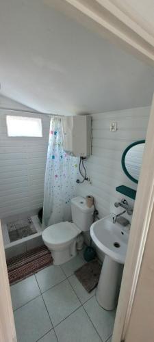 JunoszynoDOM BURSZTYNEK -domek drewniany的一间带卫生间和水槽的浴室