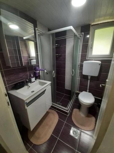 弗尔尼亚奇卡矿泉镇Adrijana 1 Apartmani的浴室配有卫生间、盥洗盆和淋浴。