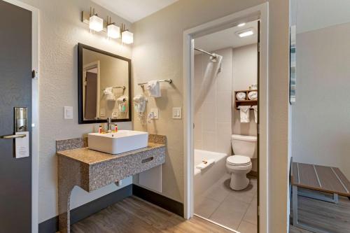 鸽子谷Hotel LeBlanc Best Western Signature Collection的一间带水槽和卫生间的浴室