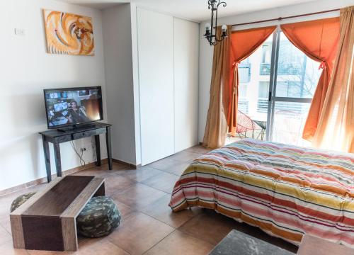 布宜诺斯艾利斯Naon Arts Experience的一间卧室设有一张床、一台电视和一个窗口。