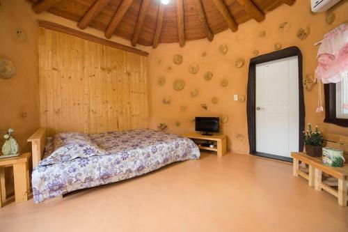 江陵市Red Clay pension的一间卧室配有一张床,并在一间客房内配有电视。