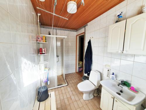 拉彭兰塔Saimaa home的一间带卫生间和水槽的浴室
