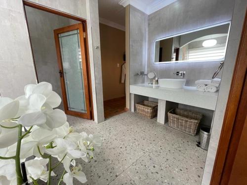 比勒陀利亚奥皮库皮宾馆的一间带水槽和镜子的浴室