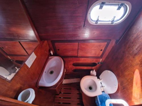 坎尼吉翁Barca a vela d’epoca Emibel的一间带水槽和卫生间的浴室以及窗户。