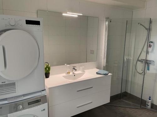 芬斯内斯Veien til Senja的浴室配有盥洗盆和带镜子的淋浴