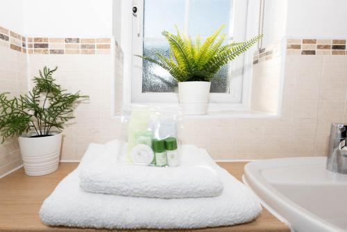谢福德Riverside Stays, Shefford的浴室的柜台上配有白色毛巾和植物