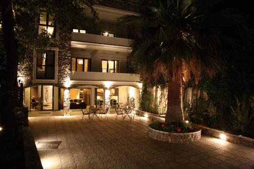斯泰尼杜伊费奥斯木斯克潘多克西奥旅馆的棕榈树在晚上在建筑物前