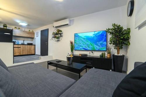提比里亚לופט הגליל- דירת סטודיו במרכז העיר טבריה的带沙发和平面电视的客厅
