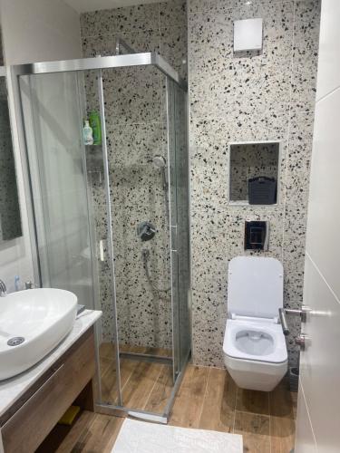 兹拉蒂博尔Gomax apartman 4的带淋浴、卫生间和盥洗盆的浴室