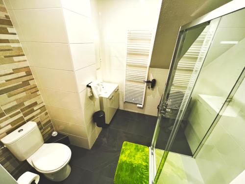 Holtzwihr-GALAXY SPA-JACUZZI-INSOLITE-4PERS-Jardin-SPA-CLIM的一间带卫生间和玻璃淋浴间的浴室