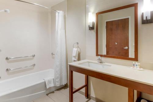 Comfort Suites St George - University Area的一间浴室