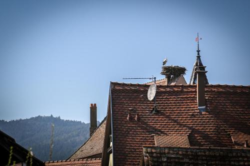 埃圭斯海姆Le Hameau d'Eguisheim - Chambres d'hôtes & Gîtes的陡峭和十字形建筑的屋顶