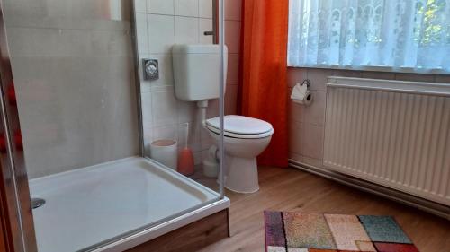 奥斯特巴特宁哈根Wohnung 2的一间带卫生间和淋浴的小浴室