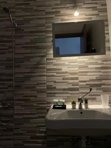 斯塔夫罗斯Nigdeli Studios的一间带水槽、淋浴和镜子的浴室