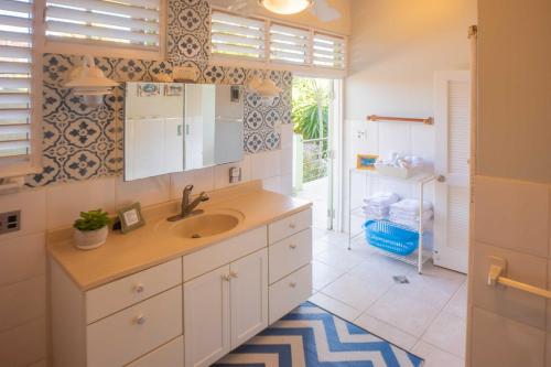 Tortola Adventure Private Villa Ocean-View Pool的一间浴室